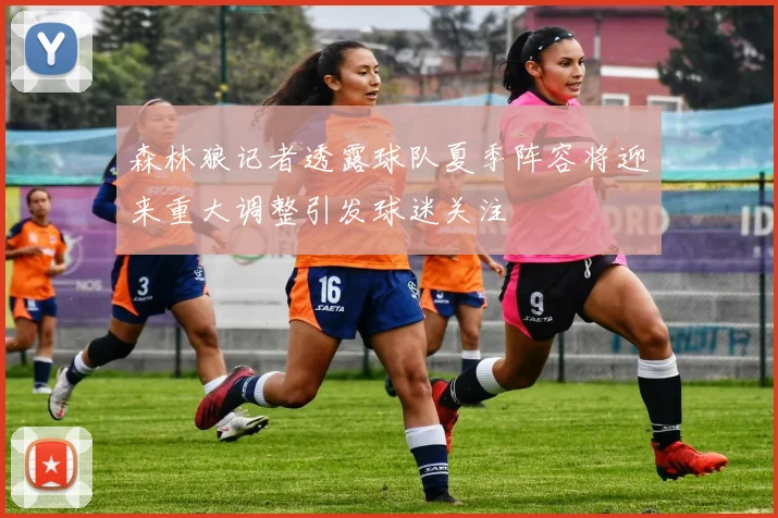 森林狼记者透露球队夏季阵容将迎来重大调整引发球迷关注