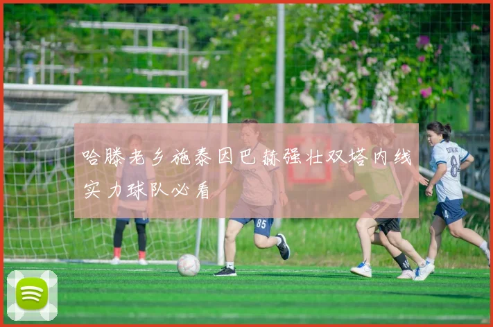 哈滕老乡施泰因巴赫强壮双塔内线实力球队必看